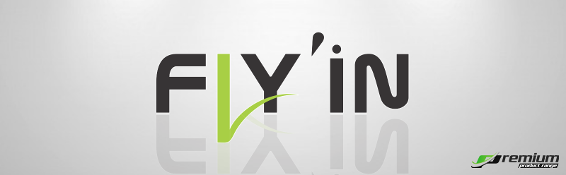 Bannière Fly in.png